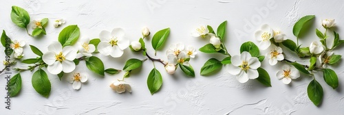 Delicate spring blossoms elegantly arranged on a clean white background, fresh and vibrant design.