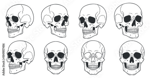 A collection of eight human skull illustrations in black and white outline vector style, ideal for Halloween themes and graphic design projects