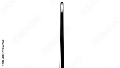 Black Pencil with Silver Ferrule and Eraser.