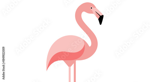 Elegant flamingo illustration with minimalist design and soft pastel pink hues offering a fresh