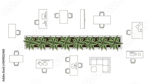 Top view of a long rectangular office planter box filled with Snake Plants (Sansevieria), architectural plan view, modern office furniture symbol, linear arrangement, clean vector style, isolated.