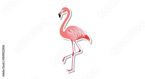 Elegant flamingo standing gracefully on one leg against a crisp white backdrop