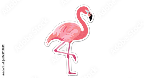 Elegant flamingo vector illustration isolated on a bright white background expressing vibrant