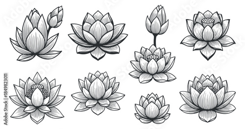A set of eight lotus flower illustrations in black and white outline style, perfect for decorative and spiritual designs