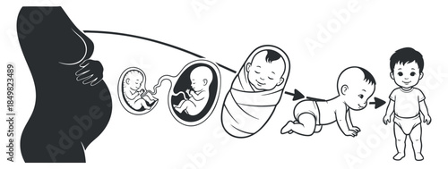 A black and white outline illustration depicting the stages of human development from pregnancy to toddlerhood, suitable for educational materials