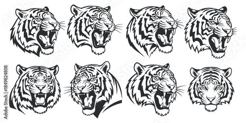 A collection of roaring tiger head illustrations in black and white vector style, perfect for sports logos and branding