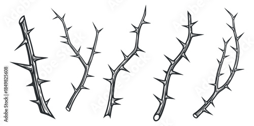 A collection of five thorns in black outline vector style, suitable for nature-themed designs and illustrations