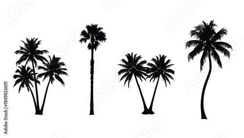 Collection of palm trees silhouetted against a white background