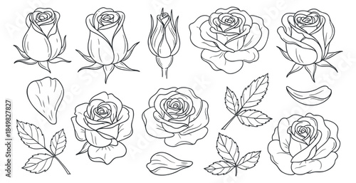 A collection of rose illustrations featuring buds, petals, and leaves in black and white outline vector style, perfect for floral designs and crafts