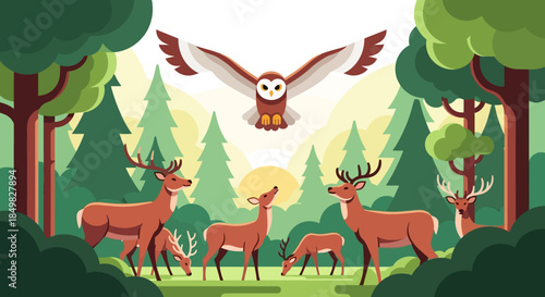 Illustration of a forest with deer grazing and an owl flying overhead during the day