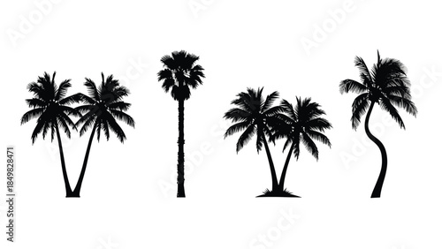 Silhouettes of various palm trees against a white background from different viewpoints