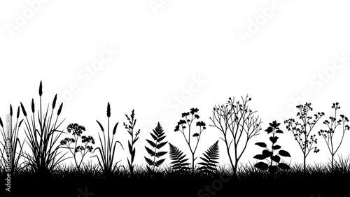 Black Silhouette of Various Plants and Grasses.