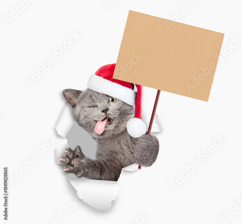 Winking cat  with tongue out wearing red santa hat looking through a hole in white paper and holding blank placard on wooden stick in it paw