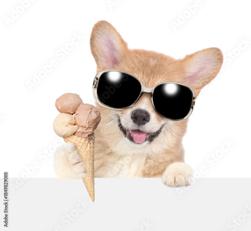 Pembroke welsh corgi puppy wearing sunglasses holds ice cream above empty board. isolated on white background
