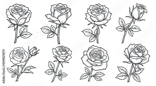 A set of hand-drawn outline roses in black and white vector style, perfect for floral designs and decorative elements