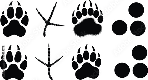 Animal paw and footprint silhouette set, bear dog cat bird tracks, black and white vector icons collection for wildlife and nature design