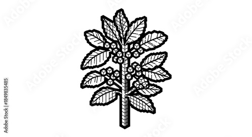 Stylized monochrome illustration of a botanical branch with leaves and cube shaped berries