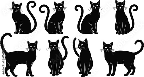 Black cat silhouette illustration set, elegant feline poses with curved tails, minimalist black and white vector artwork collection for pet design