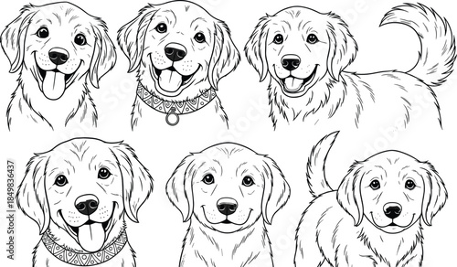 Golden retriever dog illustration set, cute hand drawn puppy faces and poses, black and white line art vector collection for coloring, logos, prints