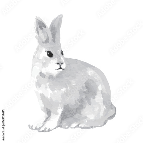 watercolor rabbit