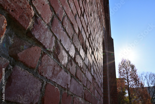 ノリタケの森のクリスマスと紅葉