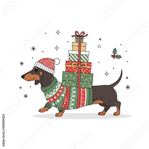 Cute holiday dachshund carrying wrapped presents with festive sweater and Santa hat