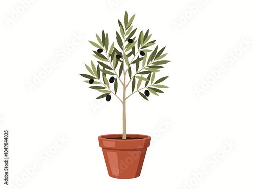 Vibrant flat illustration of a small potted olive tree adorned with ripe black olives, a fresh symbol of nature and Mediterranean charm