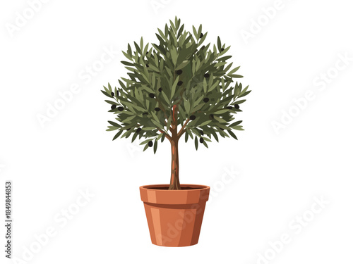 Vibrant green olive tree in a classic terracotta pot, a symbol of Mediterranean nature and health, perfect for home decor or culinary design projects