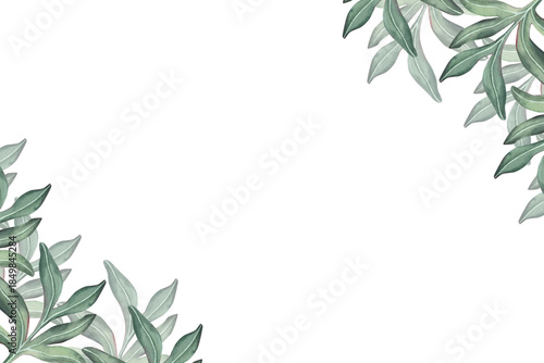 Horizontal frame made of peony leaves. Hand-painted watercolor illustration isolated on white for printing, branding, invitation, packaging, stationery, modern botanical design projects