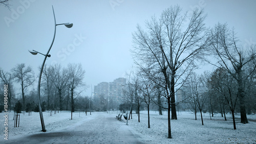 snowy winter in the city park in Novi Sad