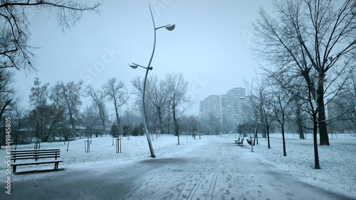 snowy winter in the city park in Novi Sad