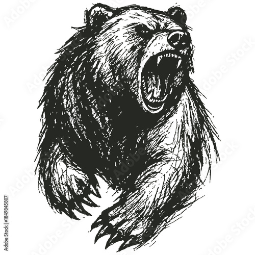 Expressive black and white sketch of a roaring bear in attack posture with open jaws and extended claws.