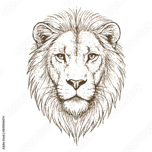 Monochrome line drawing of lion’s face with intense gaze and detailed mane, symbolizing strength and majesty.