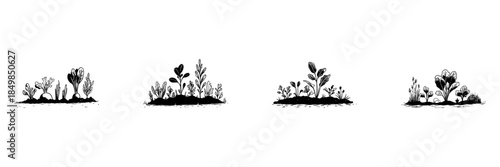 Vegetable Garden Plant Doodle Sketch Set. Organic Farming And Sustainable Agriculture In Hand Drawn Style Collection. Homegrown Produce And Gardening. Isolated Vector Illustration