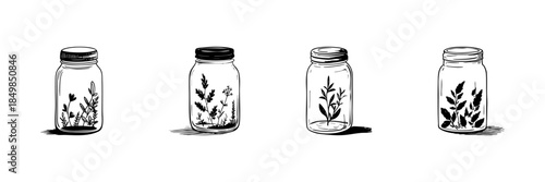 Glass Jars With Plants Doodle Sketch Set. Botanical Preservation And Nature Conservation In Hand Drawn Style Collection. Eco-Friendly And Sustainable Living. Hand Drawn Isolated Vector Illustration