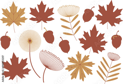 Autumn Leaves and Seeds Collection