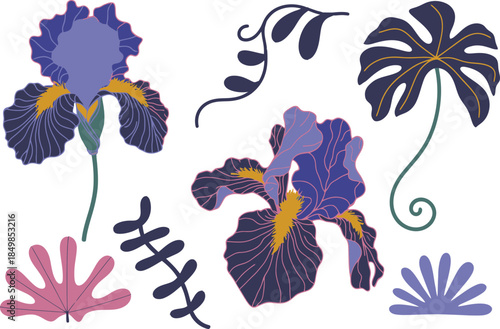 Colorful Floral Illustrations with Purple, Pink, and Yellow Flowers