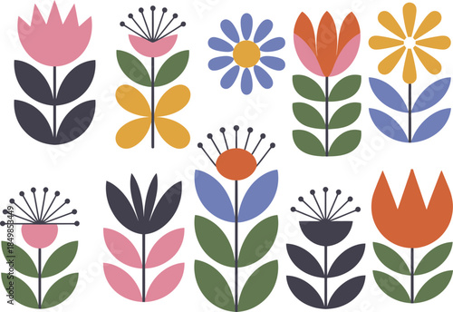 Colorful Floral Illustrations of Various Flowers