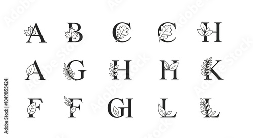Elegant letterforms integrated with natural foliage for graphic design elements and branding