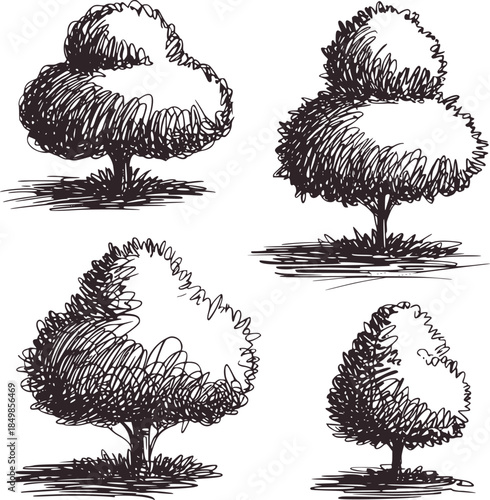 Black and white ink of four stylized topiary trees in different shapes