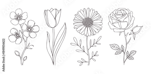 Black and white line of tulip rose daisy and cherry blossom flowers