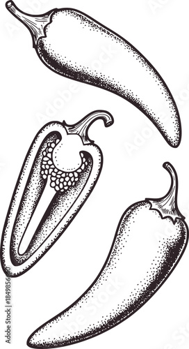 Black and white line of whole and halved chili peppers