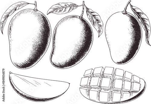 Black and white of whole and sliced mangoes with leaf