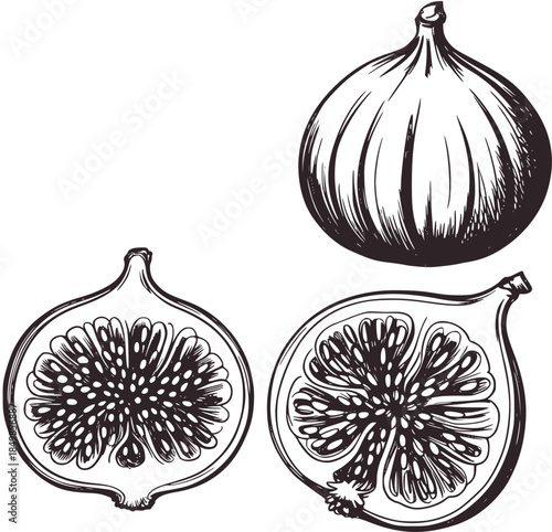 Black and white of whole fig and cross sections fruit