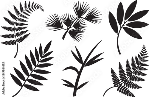Set of six black silhouette botanical leaf and frond illustrations