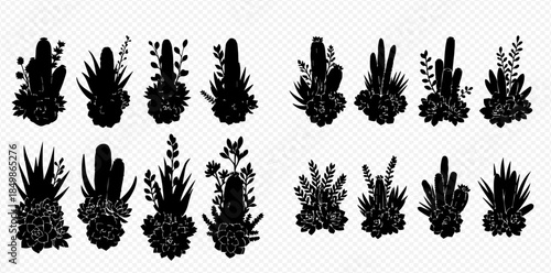 Set of black silhouettes of various succulent plants and cacti on a transparent background.