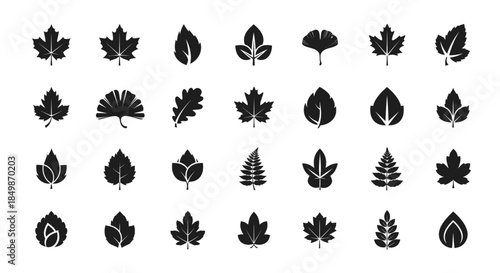 Diverse collection of minimalistic leaf silhouettes showcasing various foliage designs