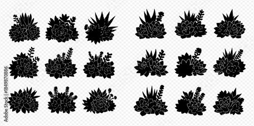 Set of black silhouette succulent plants, cacti, and agave bushes isolated on a transparent background.