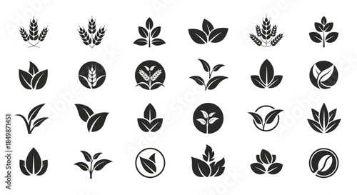 Diverse monochromatic botanical logo set featuring organic elements for brand identity