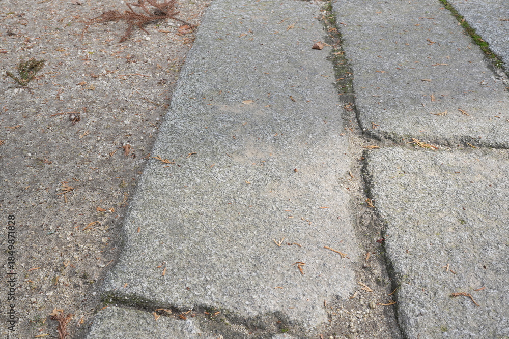 Obraz premium A gray sidewalk with a visible crack in the middle. The crack is about the size of a person's foot and runs from the left side of the sidewalk to the right. The sidewalk is made of stone